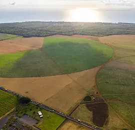 Plots & Lands